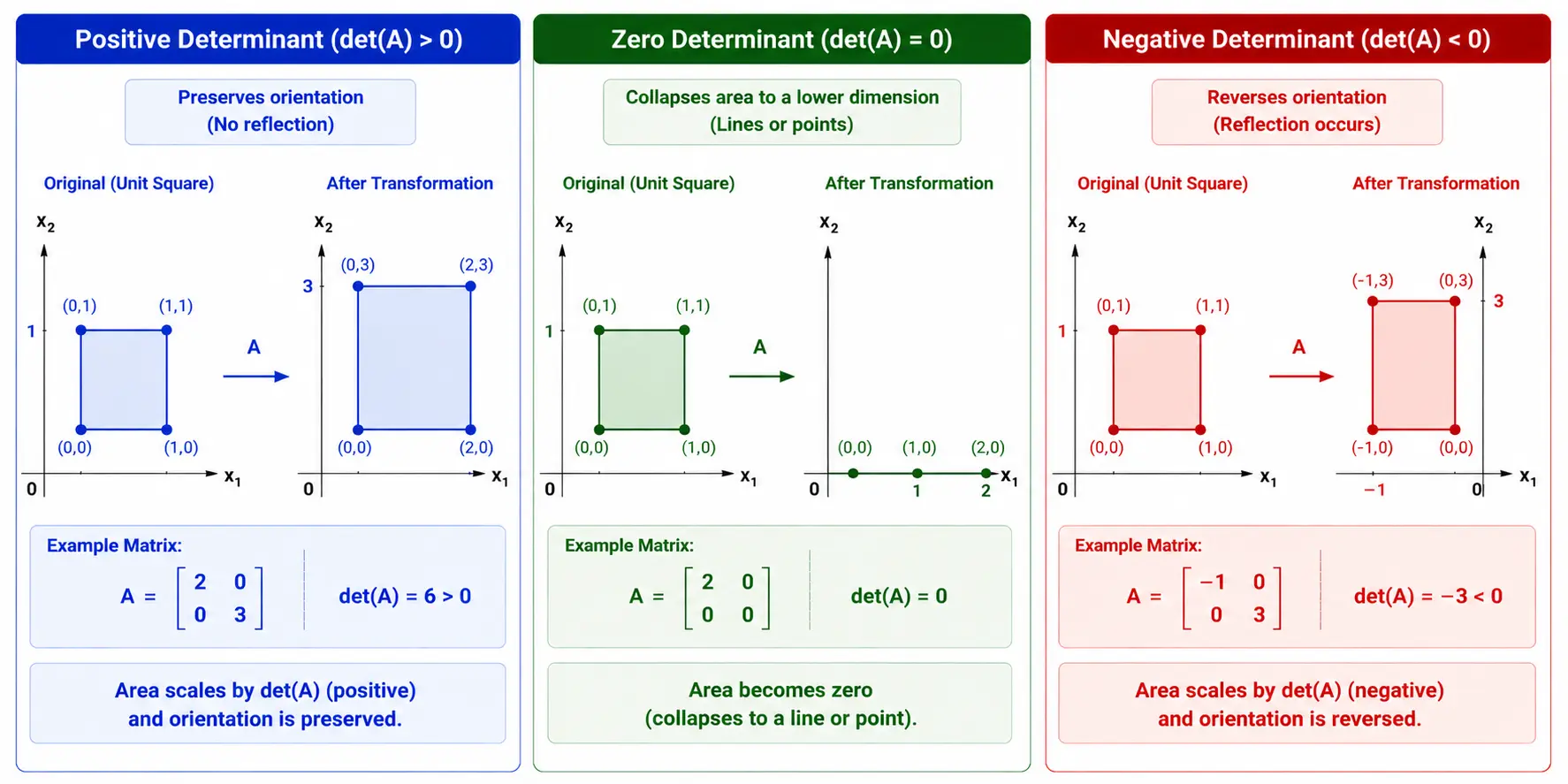 Positive, Zero and Negative Determinant